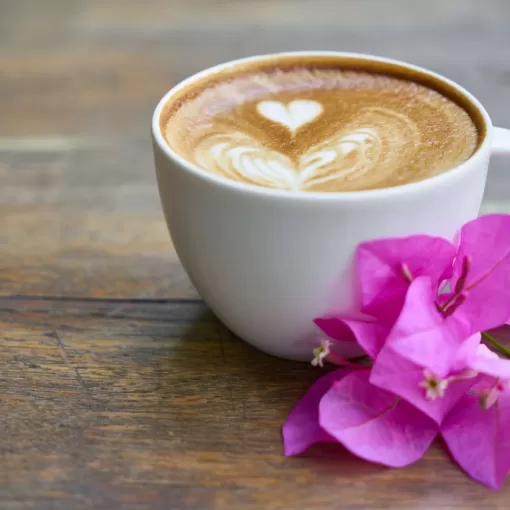 kafa_8-saveta1