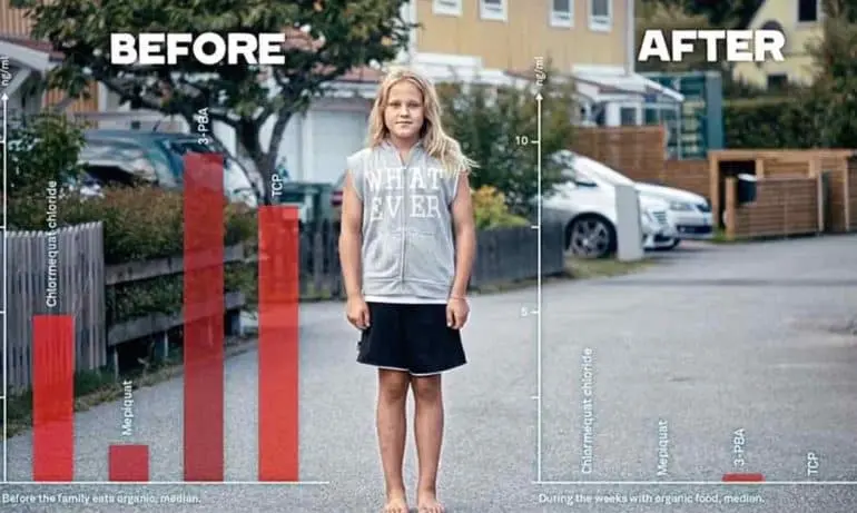 Before and after eating organic food 2